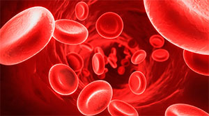 Sangue do cord�o umbilical pode ser utilizado em leucemias de causa gen�tica