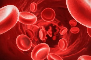 Sangue do cordão umbilical pode ser utilizado em leucemias de causa genética