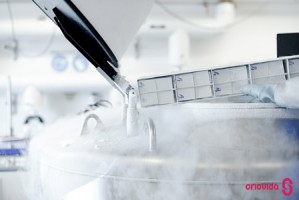 Células estaminais do sangue do cordão umbilical no tratamento da paralisia cerebral