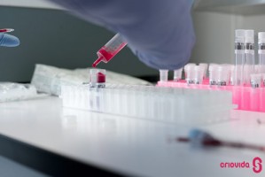 A Criovida lança novo serviço