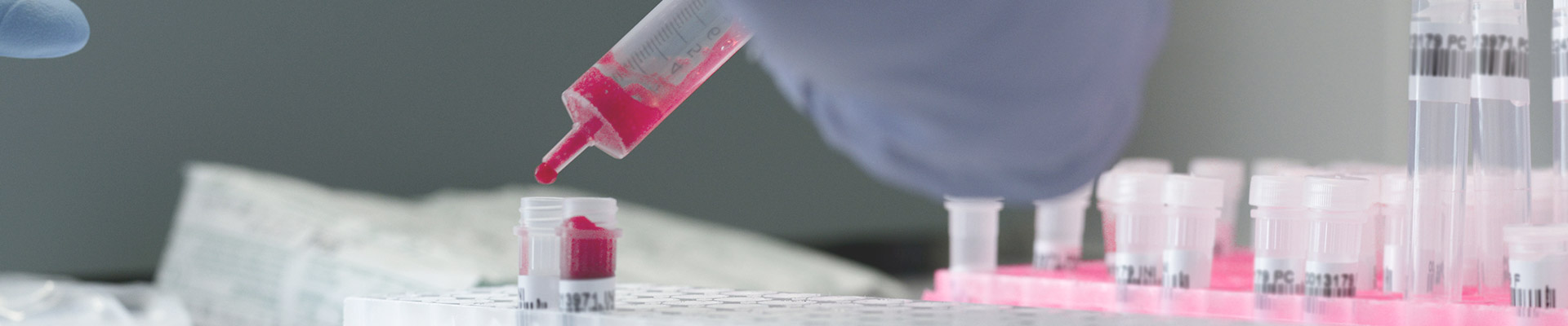 banner-Novo-servi--o