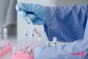 Células estaminais mesenquimatosas do sangue e do tecido do cordão umbilical no tratamento de diabetes tipo 2