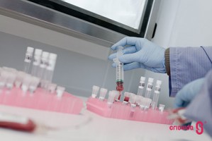 Grande potencial terapêutico das células estaminais do tecido do cordão umbilical em doenças do sistema imunológico