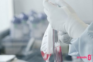 Células estaminais do sangue e do tecido do cordão umbilical produzem importantes fatores de crescimento que promovem a regeneração de tecidos