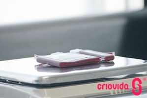 Células estaminais autólogas do sangue do cordão umbilical para possível tratamento de autismo – ensaios clínicos