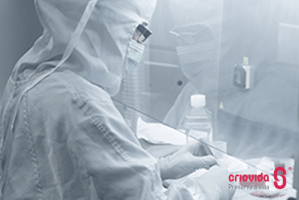 As células estaminais mesenquimatosas (MSCs) da geleia de Whärton do cordão umbilical podem ser isoladas de qualquer segmento do cordão umbilical colhido após o parto